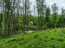 W stronę pamięci – historia i ślady dawnych mieszkańców Oleszyc i Miłkowa